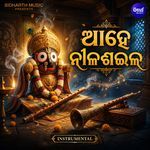 Aahe Nila Saila Instrumental