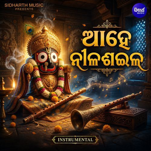 Aahe Nila Saila Instrumental