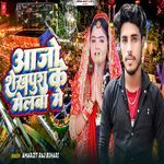 Aajo Sheikhpura Ke Melwa Me