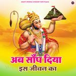 Ab Sonp Diiya Iss Jivan ka