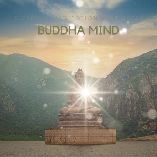 Meditative Mindful Meditation cover art