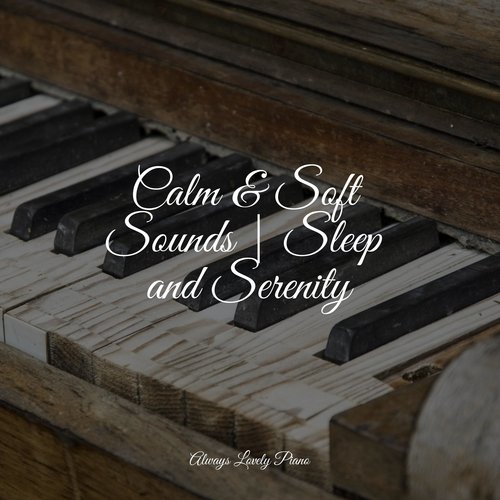 Calm & Soft Sounds | Sleep and Serenity