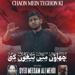 Chaon Mein Teghon Ki