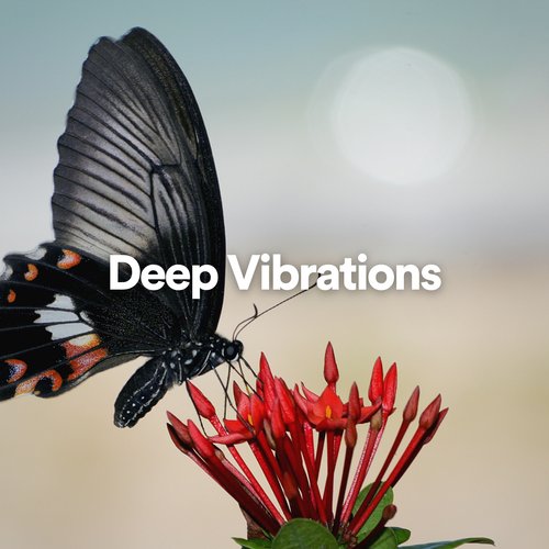 Deep Vibrations