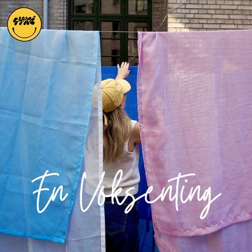 En Voksenting_poster_image