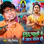 Hamara Pagali Me Jan Dal Di