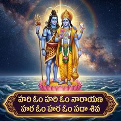 Hari Om Hari Om Narayana Hara Om Hara Om Sada Shiva