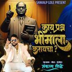 Kay Prashn Bhimala Karaycha