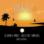 Luck Is (Tropical EDM Remix)