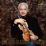 Violin Concerto in D Major, Op. 35: I. Allegro moderato