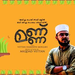 Janichupoy Njan Ee Mannil