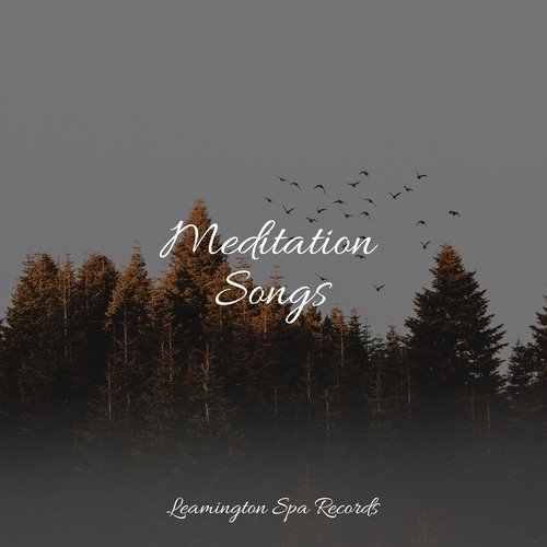 Meditation Songs
