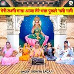Meri Lakshmi Mata Aaja Tere Bhakt Pukare Gali Gali