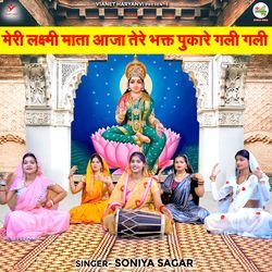 Meri Lakshmi Mata Aaja Tere Bhakt Pukare Gali Gali