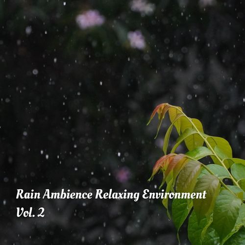 Rain Ambience Relaxing Environment Vol. 2_poster_image