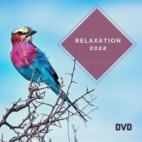 Relaxation 2022 DVD - Tropical Birds with Ocean Waves_poster_image