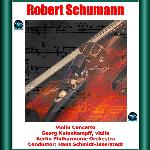 Violin Concerto in D Minor, WoO 23: I. In kräftigem, nicht zu schnellem Tempo