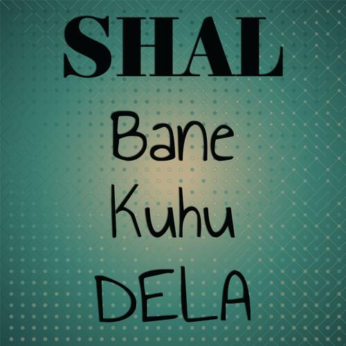 Ma Dekhe Sune Biha Dili