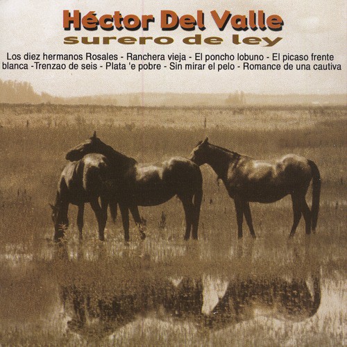 Los Diez Hermanos Rosales cover art