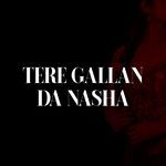 TERE GALLAN DA NASHA