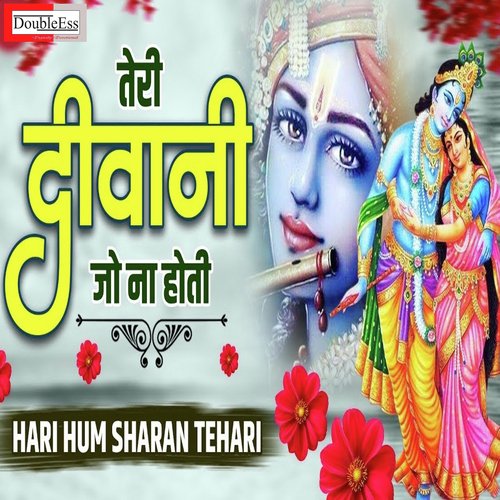 Teri Deewani Jo Na Hoti