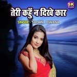 Teri Kahu Na Dikhe Car