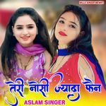 Teri Nosi Jyada Feen