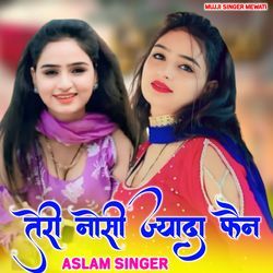 Teri Nosi Jyada Feen