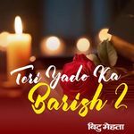 Teri Yado Ka Barish 2