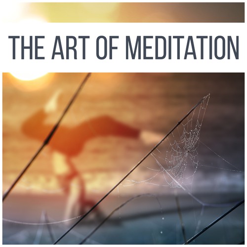 Ambient Nature Sounds cover art