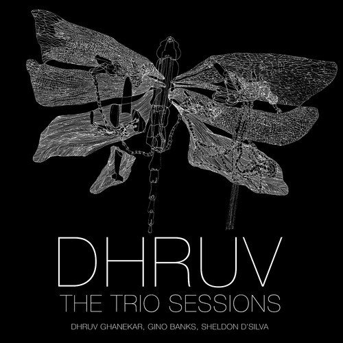 The Trio Sessions