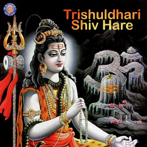 Om Namah Shivaya - 108 Times