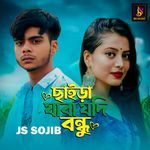 chaira jaba jodi bondhu