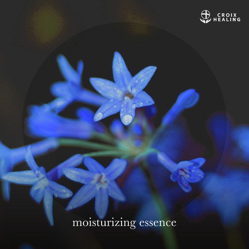 drop healing (Meditation Edit) cover art