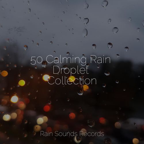 50 Calming Rain Droplet Collection