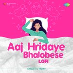 Aaj Hridaye Bhalobese - Lofi