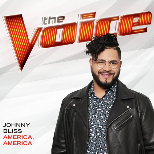 America, America (The Voice Performance)_poster_image