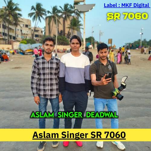 Aslam Singer SR 7060