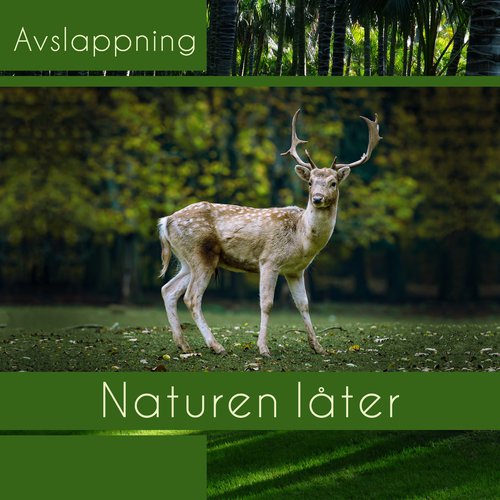 Dags för djup avkoppling cover art