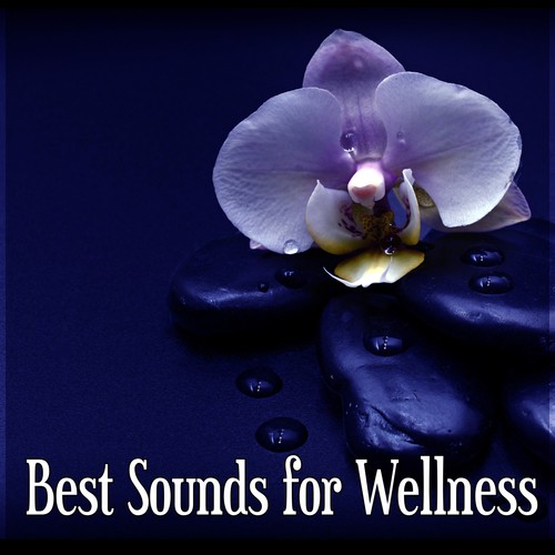 Spa Therapy cover art