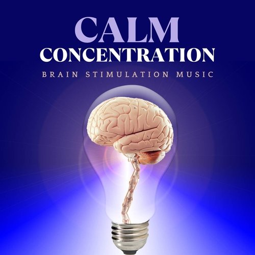 Calm Concentration - Brain Stimulation Music