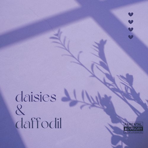Daisies & Daffodil