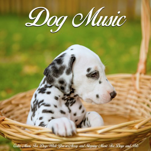 Dog Music cover art