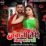 Jawani Teri Kis Kaam Ki