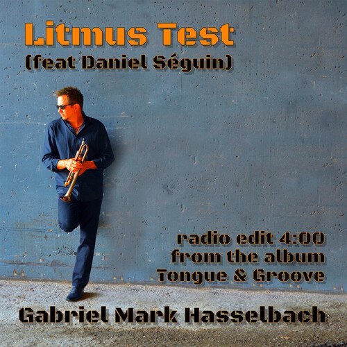 Litmus Test (Radio Edit)_poster_image