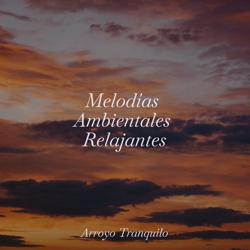 Melodías Ambientales Relajantes