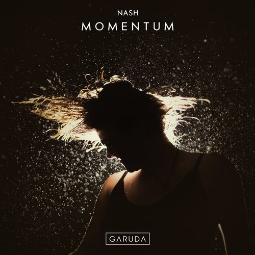 Momentum