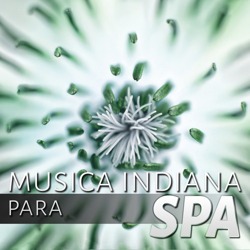 Sons da Natureza cover art