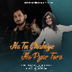 Na Tu Chahiye Na Pyar Tera (Hindi)
