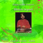 Raga: Marwa (Aalap, Jor & Jhala)